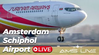 Live Arrivals at Amsterdam Schiphol Airport [upl. by Eladnar]