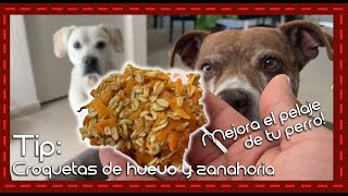 ¡Croquetas de huevo una opción saludable para tu perro Receta completa y fácil de preparar [upl. by Moraj538]