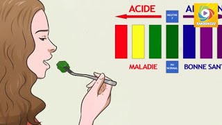 Mangez ces 5 aliments alcalins pour prévenir les cancers l’obésité [upl. by Cobbie]