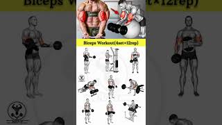 Bicep workout for planet fitness [upl. by Sutelc]