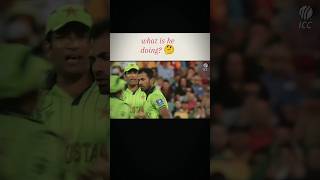 Wahab Riaz Vs Watson cricket trending shorts worldcup [upl. by Isola280]