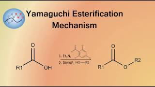 Yamaguchi Esterification Mechanism  Organic Chemistry [upl. by Suoinuj]