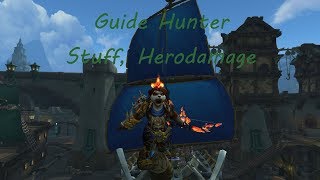 WoW BFA Guide 801 Hunter  Stuff Herodamage [upl. by Arreyt]