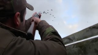 The Shooting Show – geese and grouse in Scotland PLUS the Anschütz 1770 [upl. by Anir]