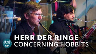 Der Herr der Ringe Concerning Hobbits live  WDR Funkhausorchester [upl. by Moselle152]