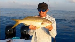 Yellowtail Snapper Fishing  Pro Tips  Light Tackle  Episode 4 [upl. by Bozovich]