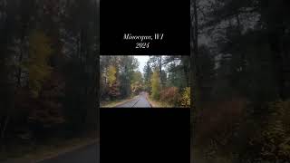 Best Fall color in Wisconsin autumn autumncolors 2024 shorts minocqua wisconsin [upl. by Devona]