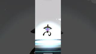 Evolving Shiny Litwick to Shiny Chandelure pokemongo pogo shinypokemon [upl. by Drannel]