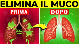 I 10 Migliori Alimenti Per Eliminare Il Muco E Purificare Naturalmente I Polmoni [upl. by Nalek]