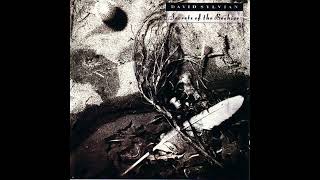 David Sylvian amp Ryūichi Sakamoto  Forbidden Colours [upl. by Haff]