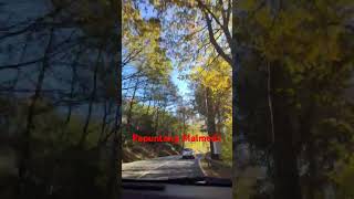 Going to Malmedy shortsvideo travel nature shortsfeed shorts [upl. by Resay]