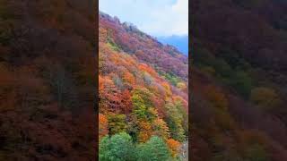 TRABZON  GALYAN VADİSİ I TURİZM GÜNLÜĞÜ turizm seyahat drone turizmgünlüğü turizmhaberleri [upl. by Hodgson847]