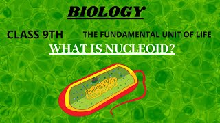 WHAT IS NUCLEOID  CELL  SIMPLEST WAY TO LEARN  NCERT  BIOSCIFY [upl. by Bushey]