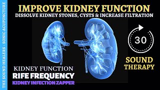 Dissolve Kidney Stones amp Cysts ➤ Improve Kidney Function amp Filtration ➤ Kidney Infection Zapper [upl. by Yhotmit]