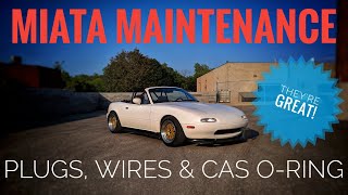 Miata Spark Plugs Wires CAS ORing amp Timing Quick Easy DIY [upl. by Rann839]