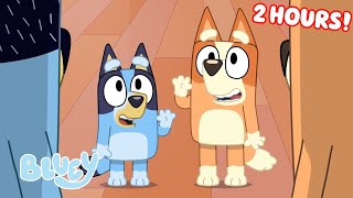 Bluey Seasons 1 2 and 3 FULL EPISODES 💙  Unicorse Faceytalk Pass the Parcel and More  Bluey [upl. by Haroun]