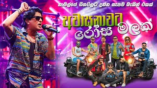 AWASANAWATA ROSA MALAK I අවාසනාවට I NAMAL UDUGAMA නාමල් උඩුගම I FLAMINGOES 2024 I flamingoes [upl. by Guendolen]