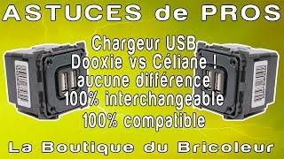 Dooxie versus celiane  chargeur USB le jeu des 7 erreurs ou pas [upl. by Meesan887]