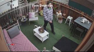 Face Detection Video Analytic on NVR8580 with 4K Security Cameras [upl. by Annaili]