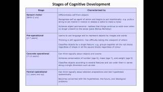 Piaget 1  5  Stages of Development [upl. by Brittani]