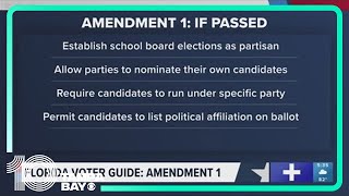 A breakdown of Florida amendments on the ballot in the 2024 Election [upl. by Ahsyak]