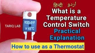 What Is A Temperature Control Switch  Thermal Switch [upl. by Yazbak536]