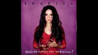 Shakira  Inevitable [upl. by Scrope]