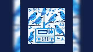 Serge Wenus  Blue Birds [upl. by Einalem985]