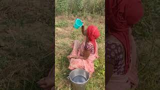 Tamatar 🍅 ki kheti village farming tomato vlogs youtube shorts [upl. by Anerok]