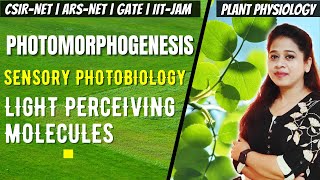 Photomorphogenesis  Photomorphogenesis in Plants CSIR NET  Sensory Photobiology CSIR NET [upl. by Ekusoyr]