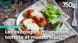 Escalopes de poulet panées à la tomate et mozzarella  Un Délice tout droit venu dItalie  750g [upl. by Boone323]