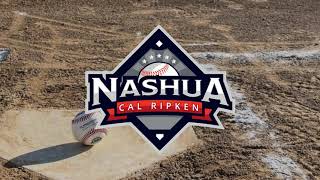 Tee Progression Drill Hitters Warm Up  Batting  Nashua Cal Ripken Baseball [upl. by Merat]