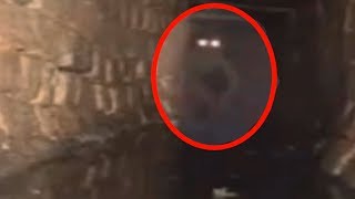 5 Mysterious Creatures Caught On Camera amp Spotted In Real Life [upl. by Ccasi]