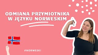 NORWESKI OD PODSTAW Odmiana przymiotnika w języku norweskim 👩‍🏫 [upl. by Anchie]