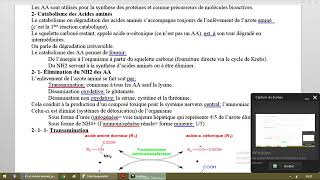 Métabolisme des acides aminés [upl. by Paulita]