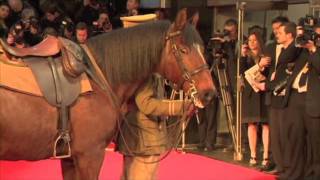 War Horse on the Red Carpet Royal London Premiere [upl. by Enirehs]