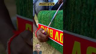 pushpa realtors vikramcomedyvideo comedy funny allu arjun pushpa movie [upl. by Yremrej146]