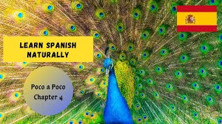 440 Learn Spanish Naturally Poco a Poco [upl. by Mailliw]