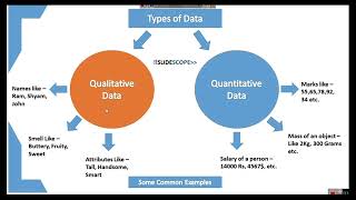 Data Science vs Data Analytics vs Machine Learning  August 2024 [upl. by Egon]