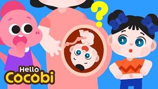 Belly Button Song  Why Do We Have Belly Buttons  Nursery Rhymes amp Kids Songs  Hello Cocobi [upl. by Mutz]