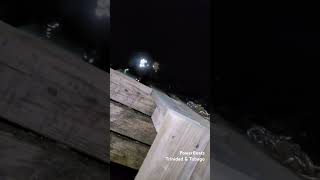 🐢 Baby Turtle visits Trinidad Shipyard at Night 🇹🇹 trinidad oceanlife tur turtleseason [upl. by Ahsemrac574]