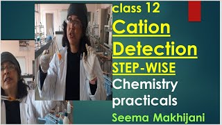 NEETJEE mains 2024 CATIONSTEP WISE in 15 minutes 2024 Chemistry PracticalsCBSE Class 11and12 [upl. by Adikram727]