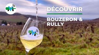 À la découverte du vignoble de Bouzeron [upl. by Aneled682]