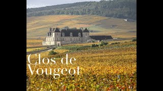 Clos de Vougeot  Video Essay [upl. by Maxentia]