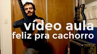 5 a seco  vídeo aula  feliz pra cachorro OFICIAL [upl. by Lief171]