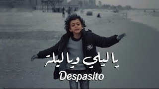 أغنية يا ليلي ويا ليلة  ديسباسيتو  Ya Lili  Despacito  Official 🔥 Video [upl. by Rozalin729]