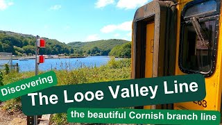 Discovering the Looe Valley Branch Line [upl. by Eizeerb]