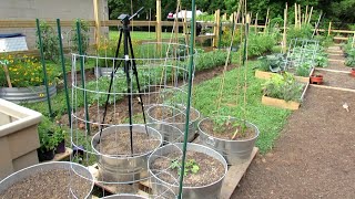 10 Trellising Options for Containers amp Earth Beds Tomatoes Cucumbers Squash Melons amp More [upl. by Yrogerg]