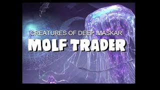 Dungeons and Dragons Molf Trader creatures of Deep Imaskar [upl. by Franny]