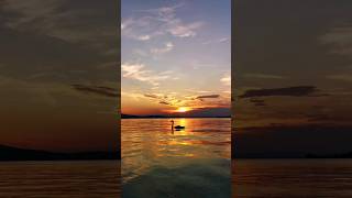 Ein Schwan schwimmt durch den Sonnenuntergang am Bodensee [upl. by Gorden]